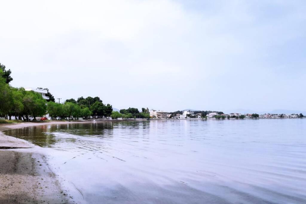 Πολυτελές Διαμέρισμα 2 Χαλκίδα-Παραλία Αυλίδος Paralia Avlidhos 외부 사진