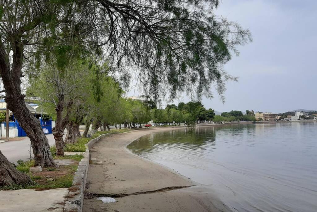 Πολυτελές Διαμέρισμα 2 Χαλκίδα-Παραλία Αυλίδος Paralia Avlidhos 외부 사진